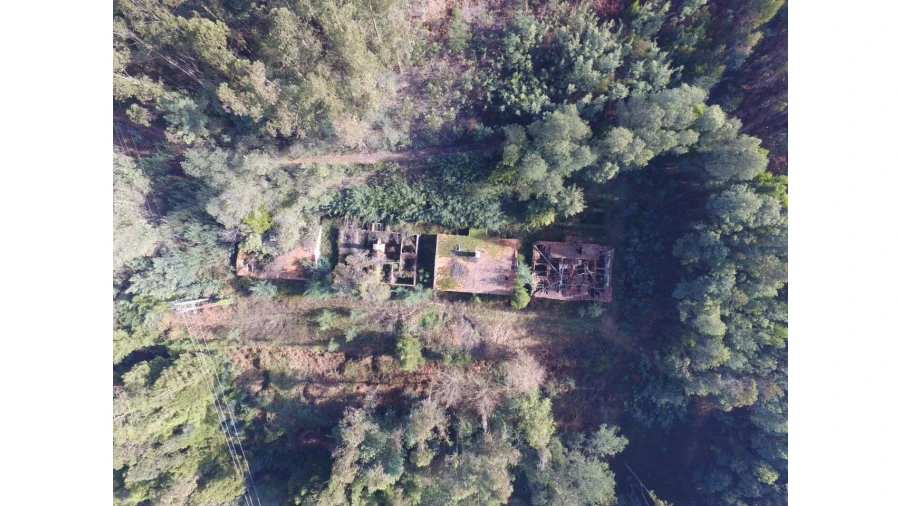 Quinta T16 para Venda em Pinheiro da Bemposta, Travanca e Palmaz Foto 13