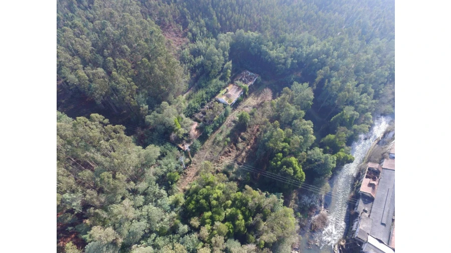 Quinta T16 para Venda em Pinheiro da Bemposta, Travanca e Palmaz Foto 15