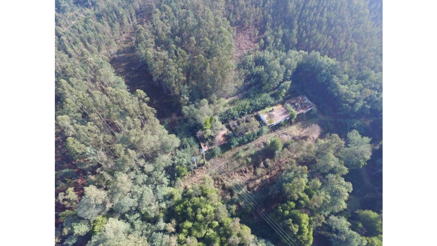 Quinta T16 para Venda em Pinheiro da Bemposta, Travanca e Palmaz Foto 16