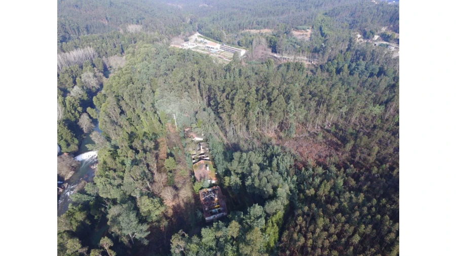 Quinta T16 para Venda em Pinheiro da Bemposta, Travanca e Palmaz Foto 17