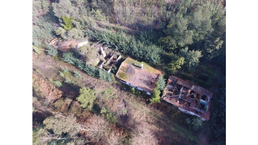 Quinta T16 para Venda em Pinheiro da Bemposta, Travanca e Palmaz Foto 18