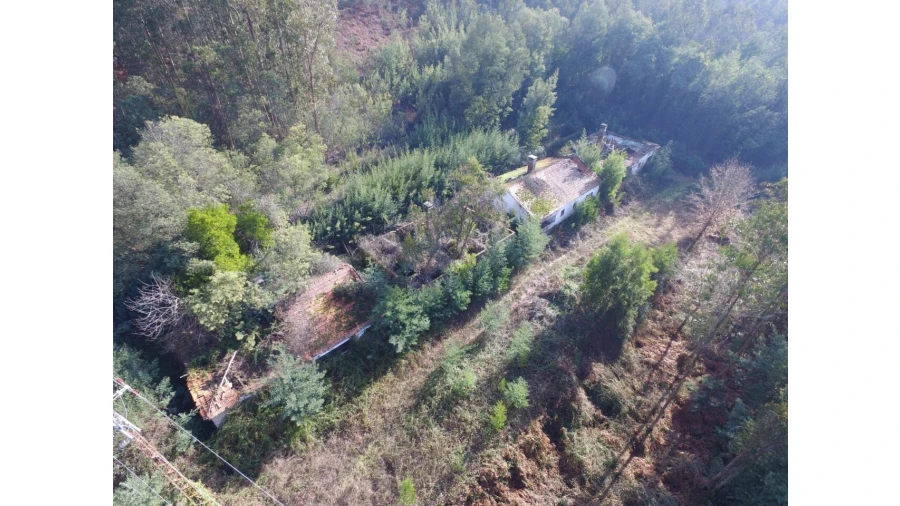 Quinta T16 para Venda em Pinheiro da Bemposta, Travanca e Palmaz Foto 19