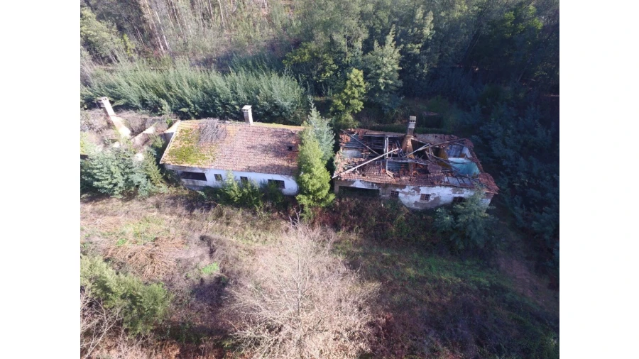 Quinta T16 para Venda em Pinheiro da Bemposta, Travanca e Palmaz Foto 20