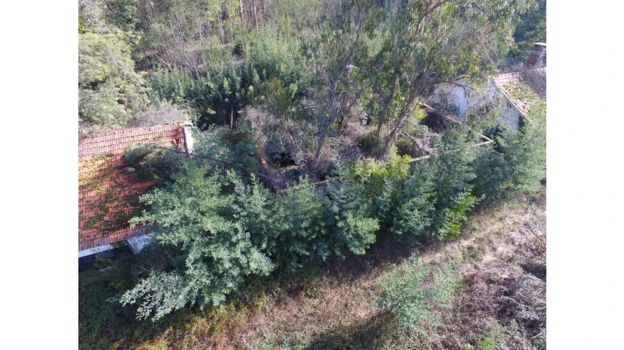 Quinta T16 para Venda em Pinheiro da Bemposta, Travanca e Palmaz Foto 23