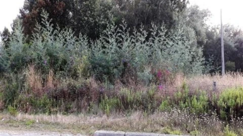 Terreno para Venda em O. Azeméis, Riba-Ul, Ul, Macinhata Seixa, Madail