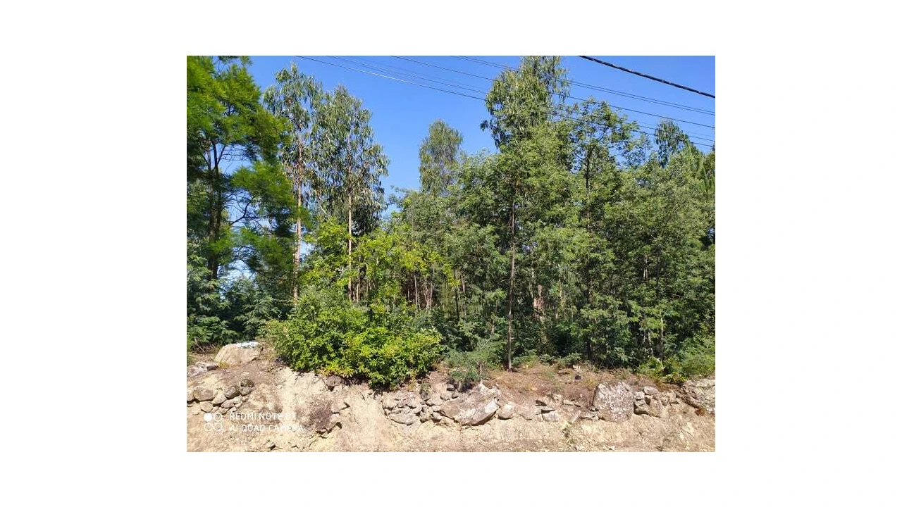 Terreno para Venda em Carregosa Foto 2