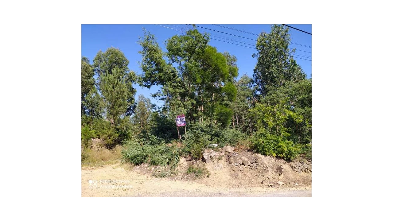 Terreno para Venda em Carregosa Foto 1
