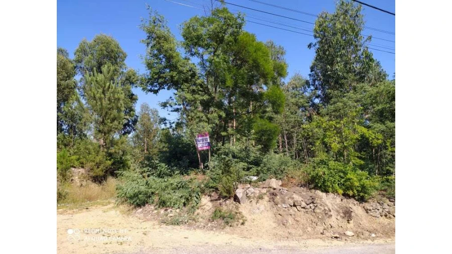 Terreno para Venda em Carregosa