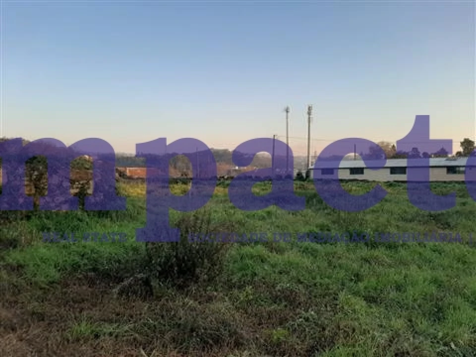 Terreno para Venda em Vila de Cucujães Foto 20