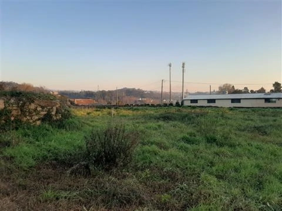 Terreno para Venda em Vila de Cucujães Foto 6