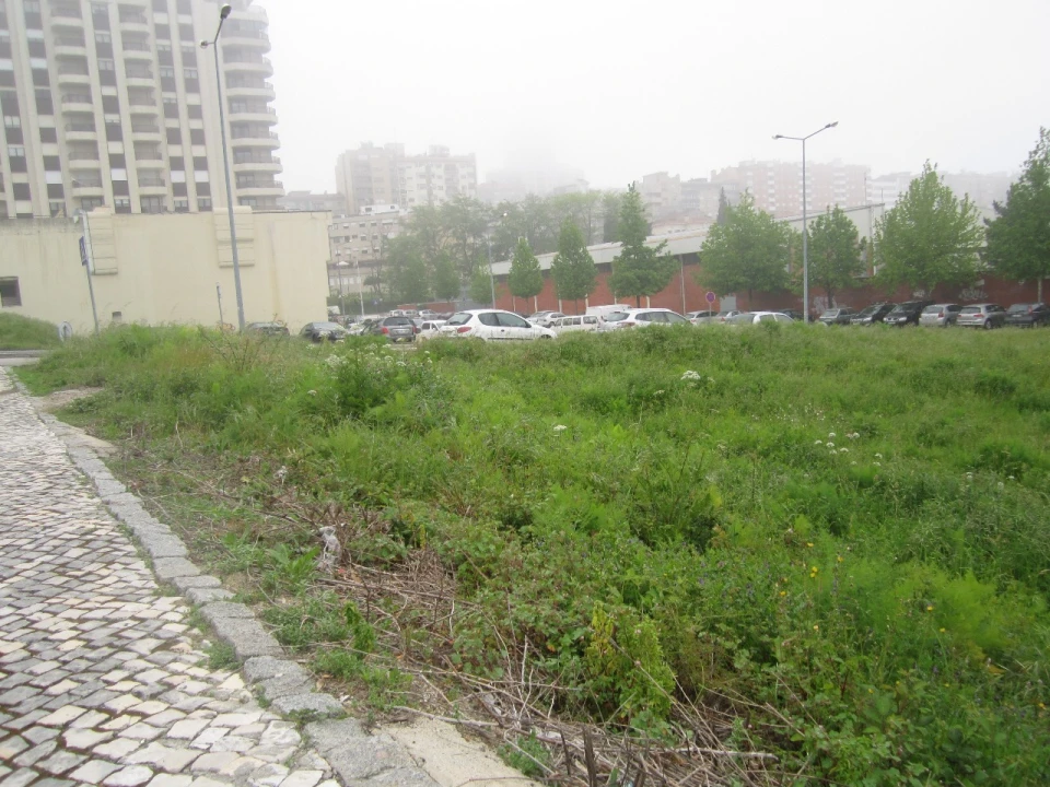 Terreno para Venda em São João da Madeira Foto 4