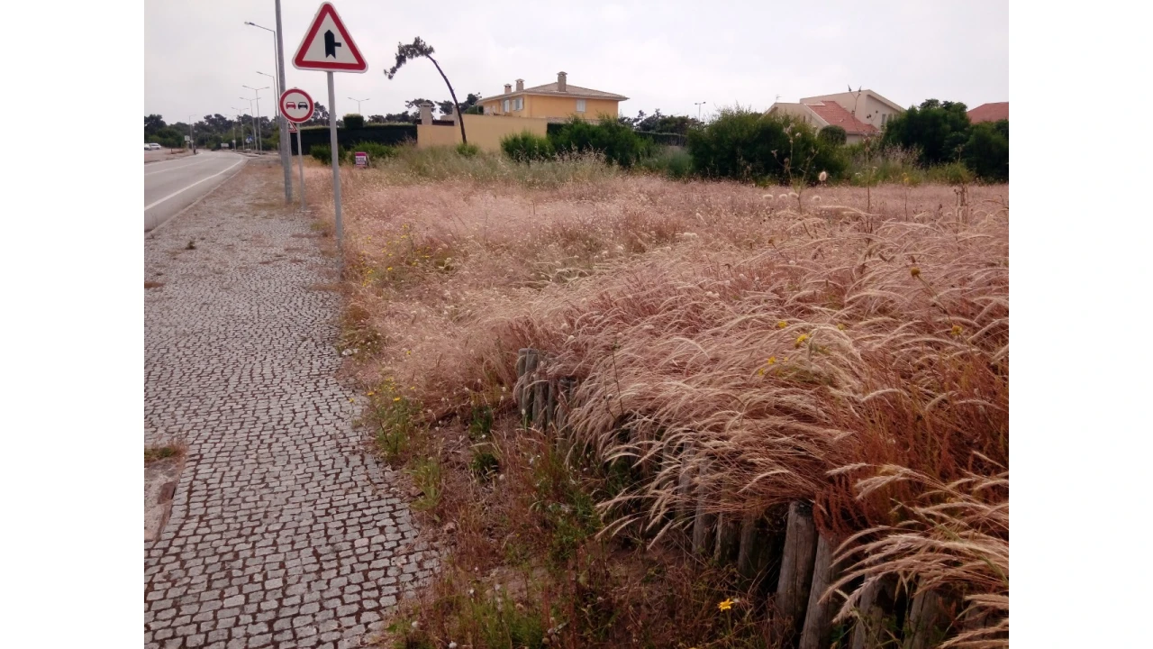 Terreno para Venda em Torreira Foto 7