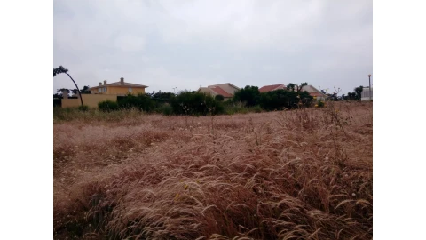 Terreno para Venda em Torreira