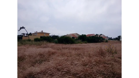 Terreno para Venda em Torreira