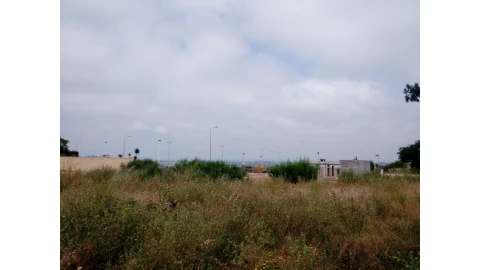 Terreno para Venda em Torreira