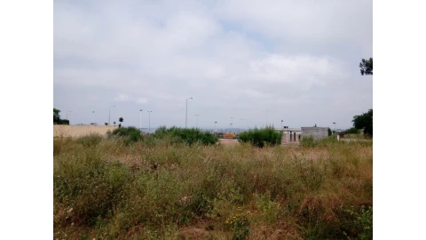 Terreno para Venda em Torreira
