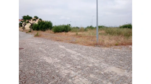 Terreno para Venda em Torreira