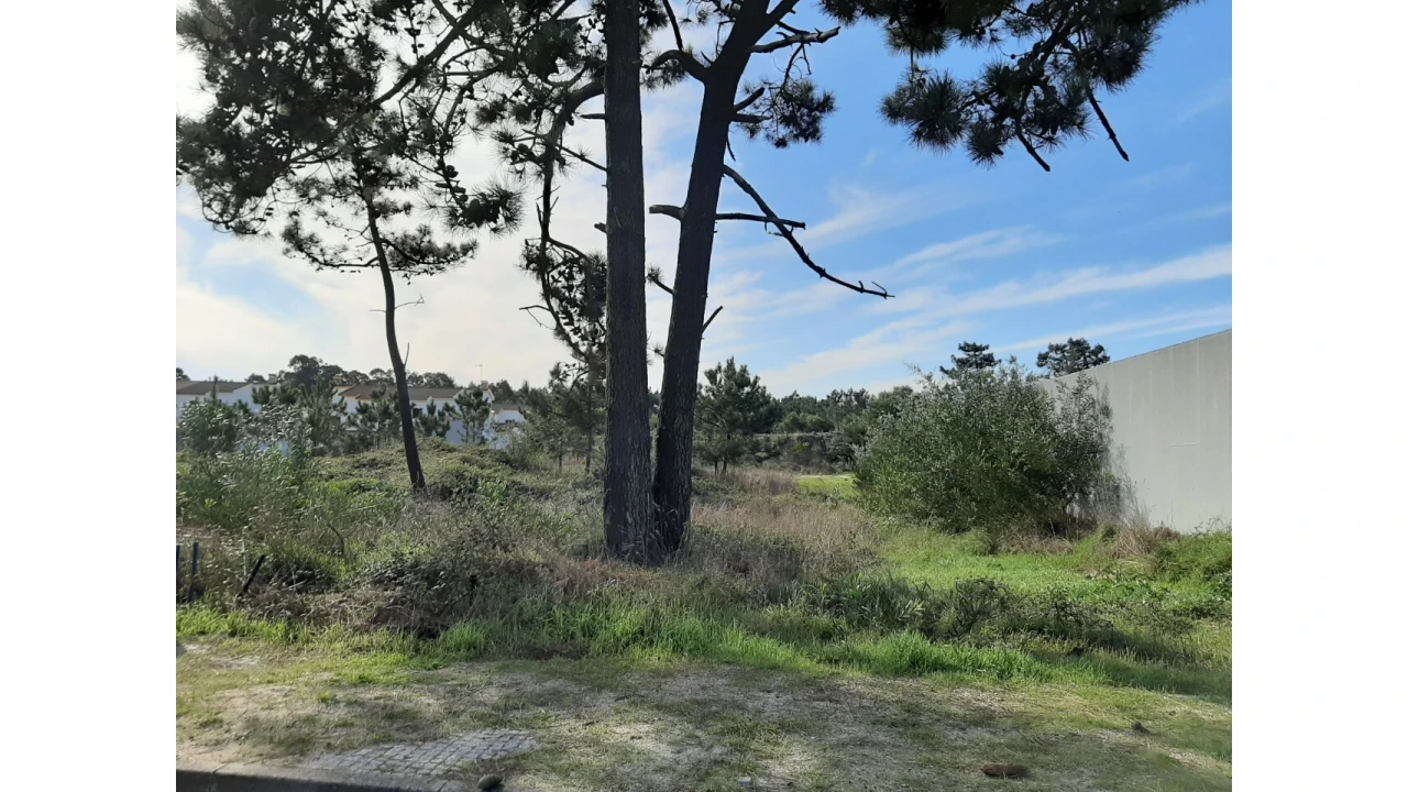 Terreno para Venda em Torreira Foto 1