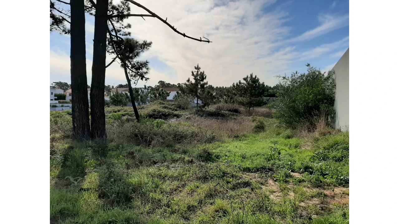 Terreno para Venda em Torreira Foto 2
