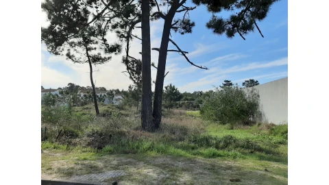 Terreno para Venda em Torreira