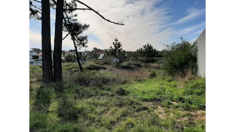 Terreno para Venda em Torreira