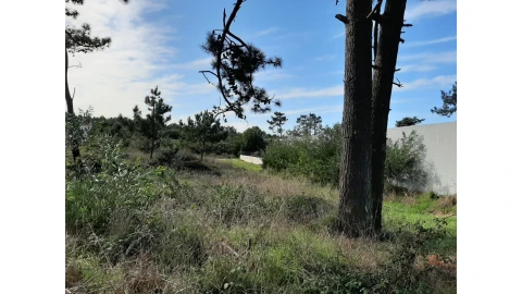 Terreno para Venda em Torreira