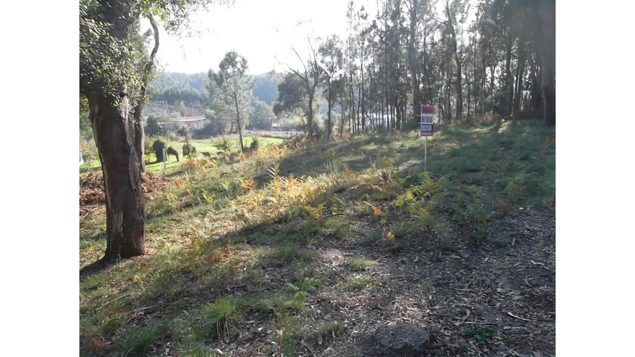 Terreno para Venda em Nogueira do Cravo e Pindelo Foto 1