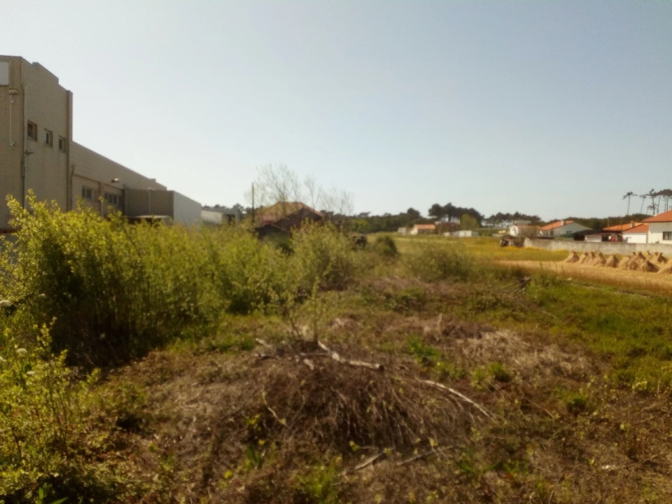 Terreno para Venda em Ovar, São João, Arada e São Vicente de Pereira Jusã Foto 2