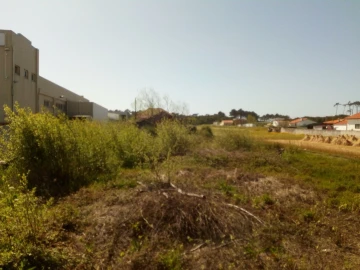 Terreno para Venda em Ovar, São João, Arada e São Vicente de Pereira Jusã