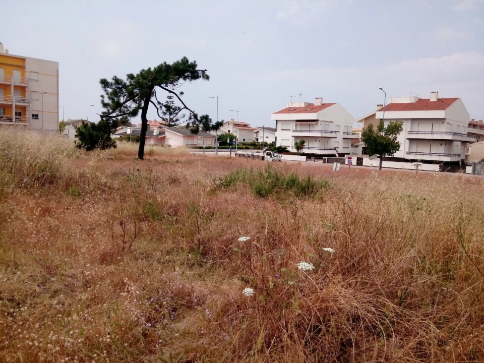 Terreno para Venda em Torreira Foto 5