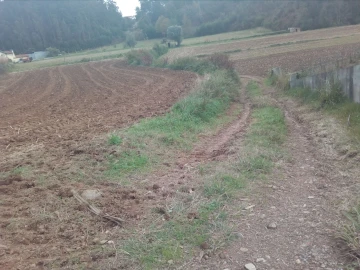 Terreno para Venda em Vila de Cucujães