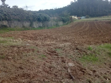 Terreno para Venda em Vila de Cucujães