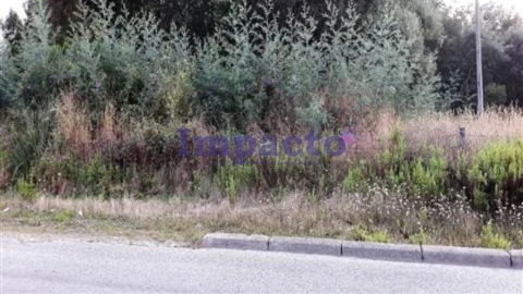 Terreno para Venda em O. Azeméis, Riba-Ul, Ul, Macinhata Seixa, Madail