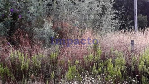 Terreno para Venda em O. Azeméis, Riba-Ul, Ul, Macinhata Seixa, Madail