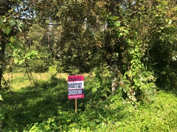 Terreno para Venda em Caldas de São Jorge e Pigeiros