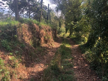 Terreno para Venda em Caldas de São Jorge e Pigeiros
