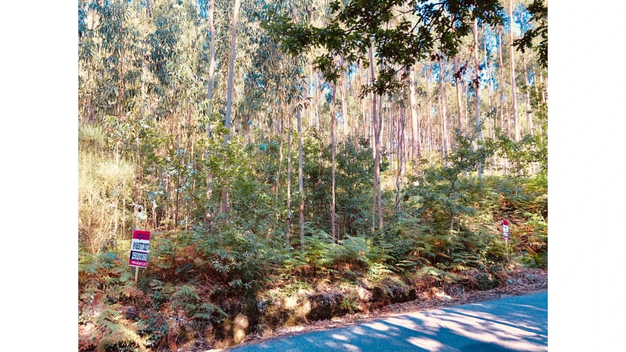 Terreno para Venda em Romariz Foto 1