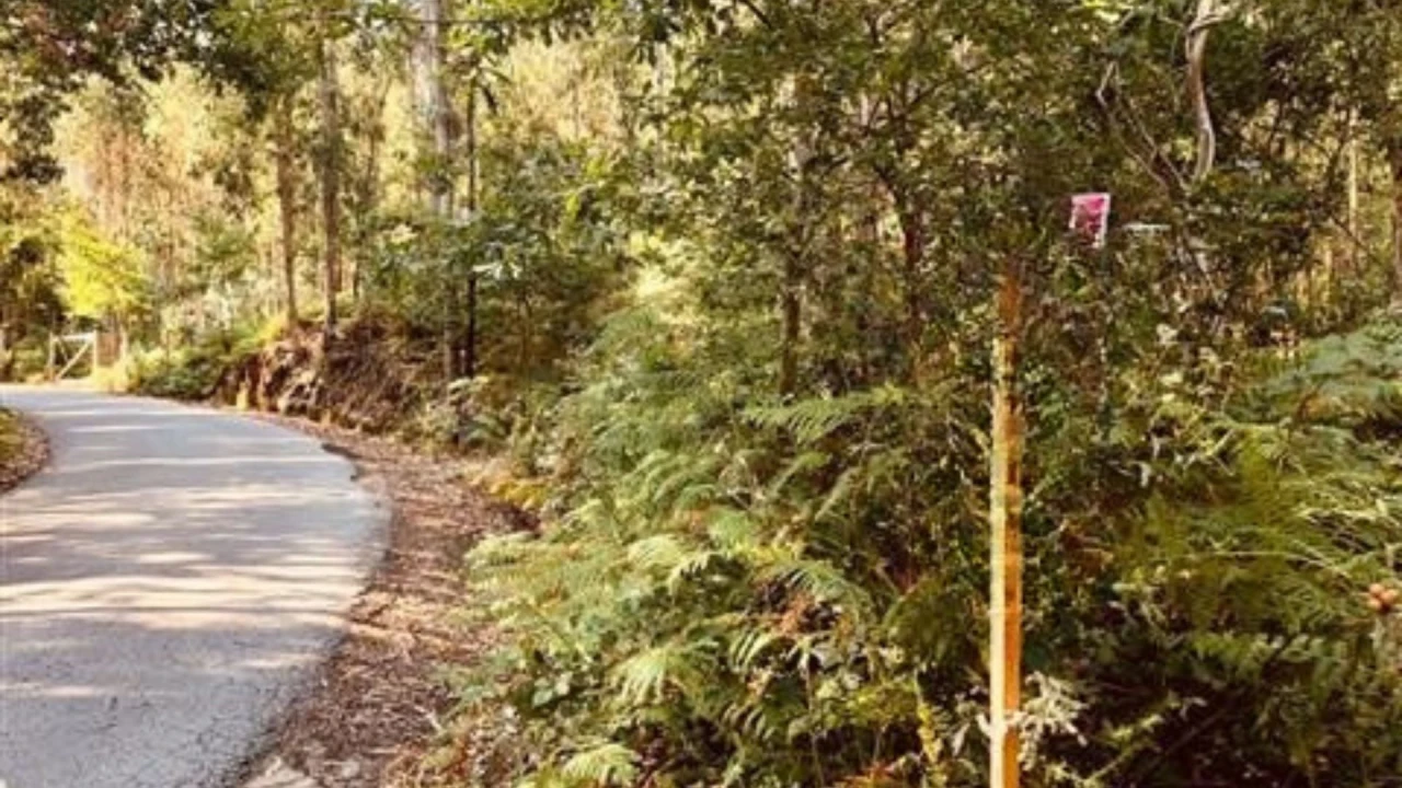 Terreno para Venda em Romariz Foto 4