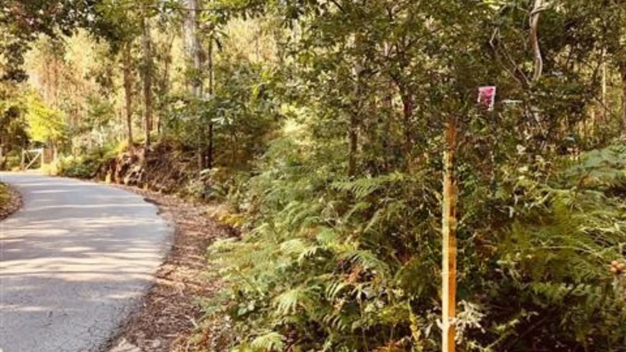 Terreno para Venda em Romariz Foto 4