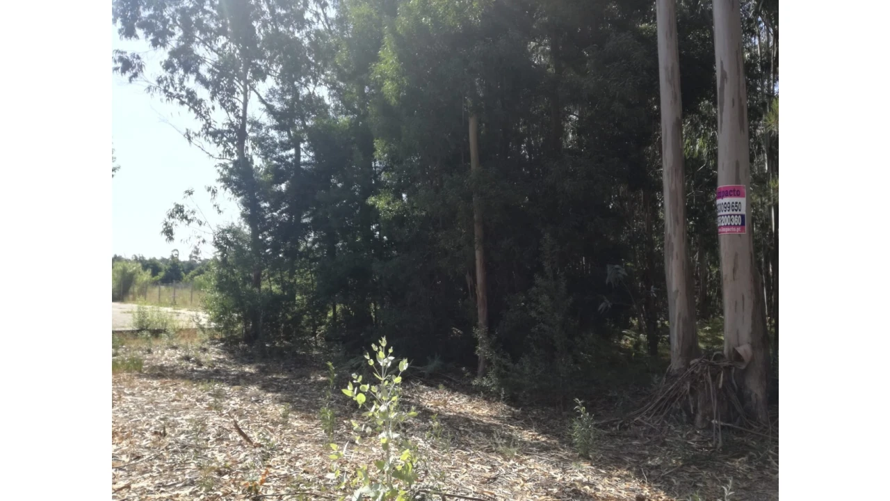 Terreno para Venda em Avanca Foto 6