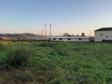 Terreno para Venda em Vila de Cucujães
