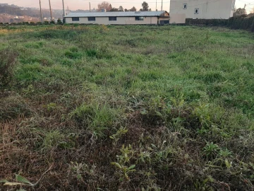 Terreno para Venda em Vila de Cucujães
