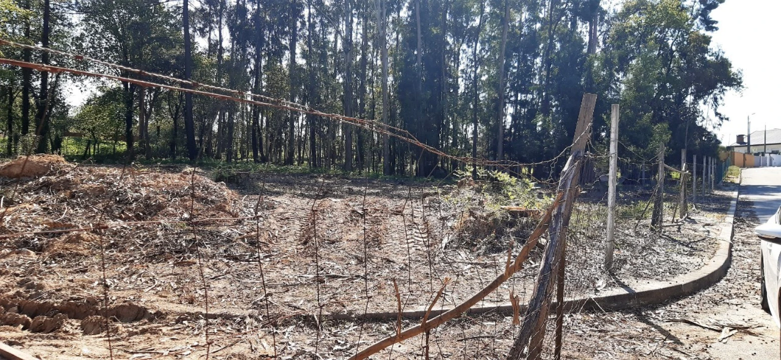 Terreno para Venda em Santa Maria da Feira, Travanca, Sanfins e Espargo Foto 1