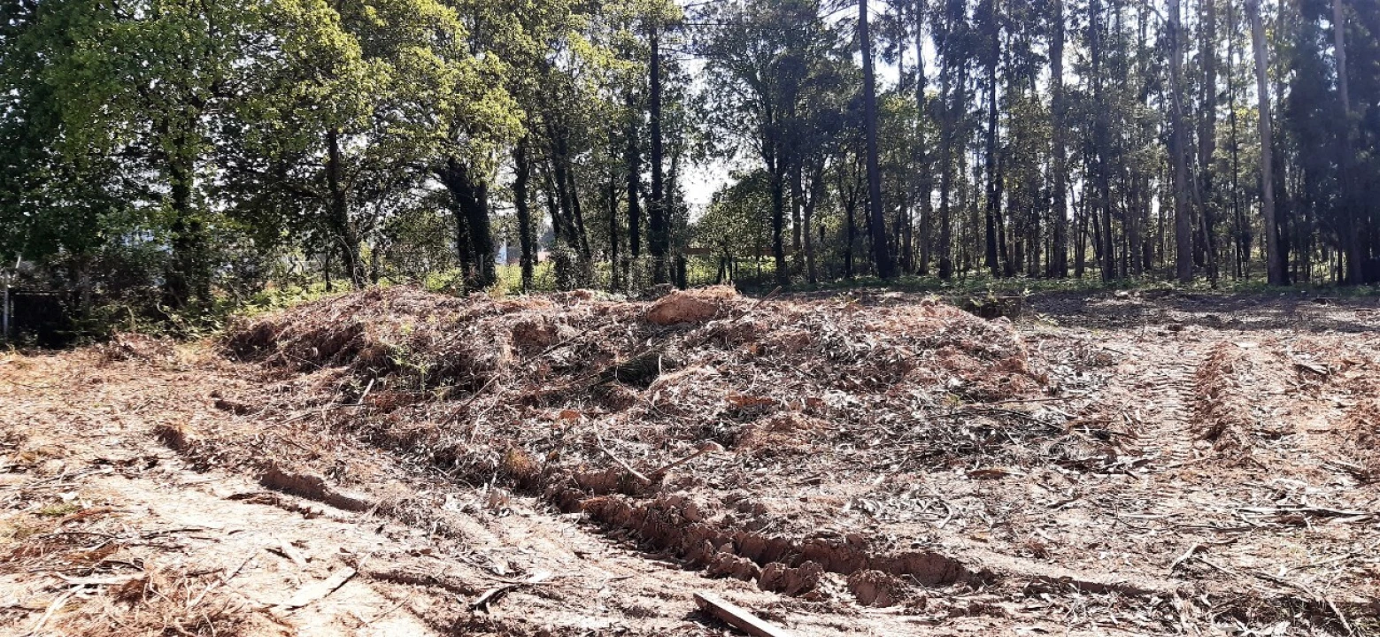 Terreno para Venda em Santa Maria da Feira, Travanca, Sanfins e Espargo Foto 2