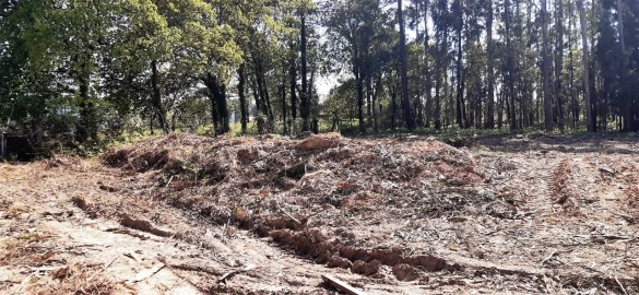 Terreno para Venda em Santa Maria da Feira, Travanca, Sanfins e Espargo