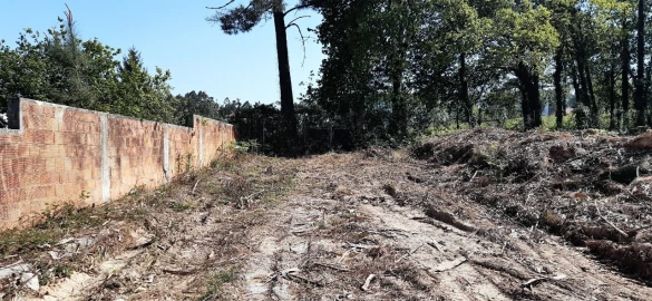 Terreno para Venda em Santa Maria da Feira, Travanca, Sanfins e Espargo