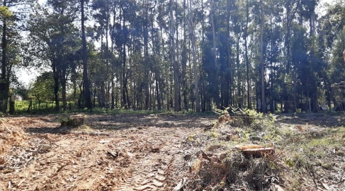 Terreno para Venda em Santa Maria da Feira, Travanca, Sanfins e Espargo