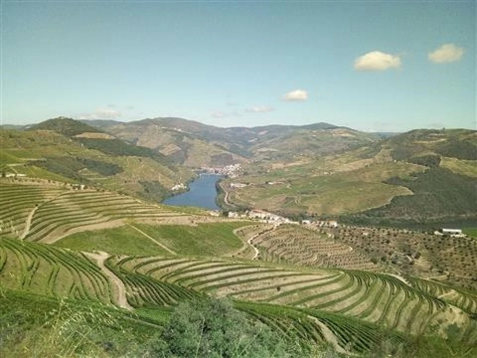 Moradia T3 para Venda em Soutelo do Douro Foto 3