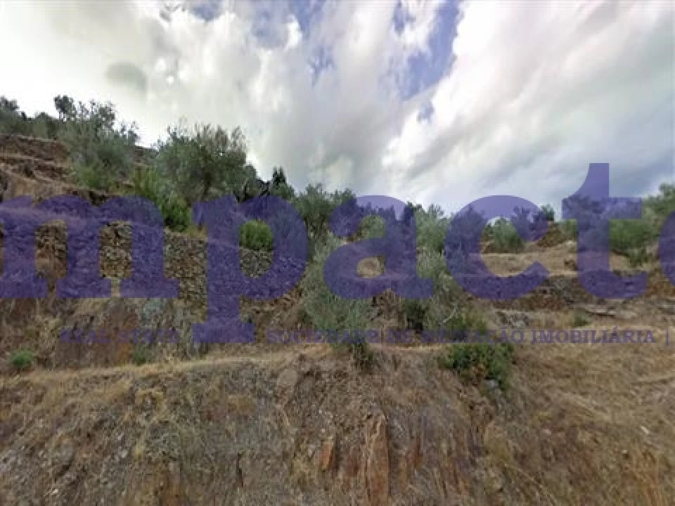 Terreno para Venda em Soutelo do Douro Foto 1