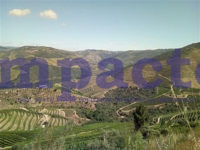 Terreno para Venda em Soutelo do Douro Foto 3
